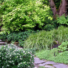 Landscape Architect