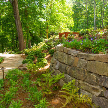 Shady landscape