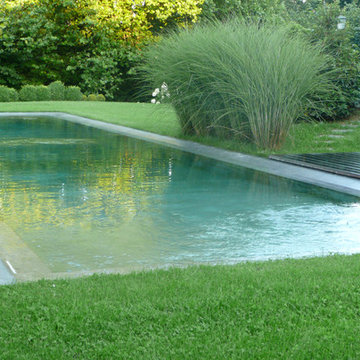 Bassin naturel à Namur