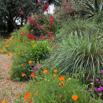 Sonoma County Garden