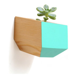 Sidecar Wall Planter - Douglas Fir - Products
