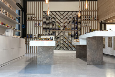 Cette image montre un bar de salon minimaliste de taille moyenne.