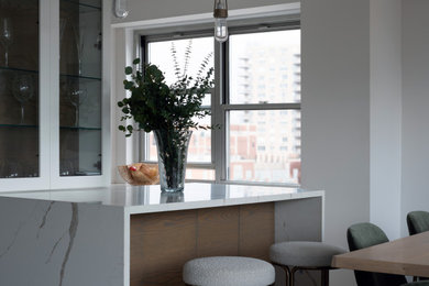 Kitchen - mid-sized modern kitchen idea in New York