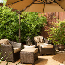 Deck & Patio