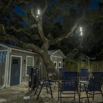 Simple Xeric Landscape and Lighting