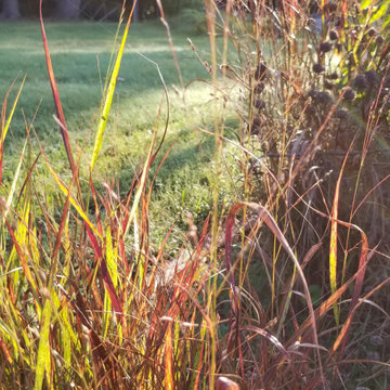 Gainesville Garden and Landscaping