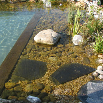Baissin de régénération de la Baignade naturelle