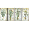 "Herbs" 4-Piece Artwork Set