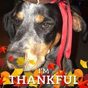 Carol Gallagher's photo