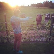 Kenny De Vogelaere's photo