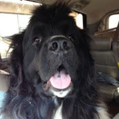 Mariya Perreault's photo