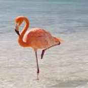 Amanda Nix's photo