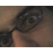 Ron Piovesans foto