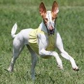 Wendy Anderson's photo