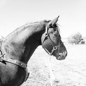 Carey Clausen's photo