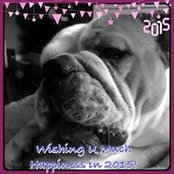Marilyn Smith Thomas's photo