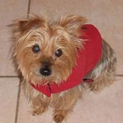 Patti Powell's photo