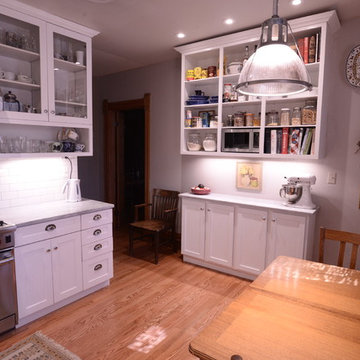 Lincoln Park Kitchen Update
