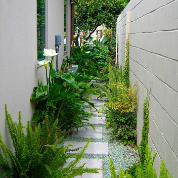 Coastal Renovated Landscape