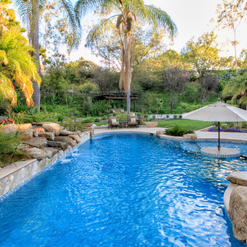 Tropical Oasis