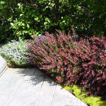 Stunning Gardens