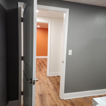Basement Remodel