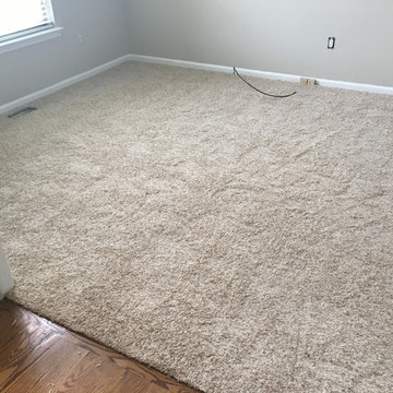 Stainmaster Carpet