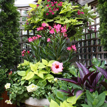 Wisteria & Rose roof deck designs. Visit www.wisteriaandrose.com for more info!