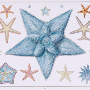 Elegant Prints & Frames