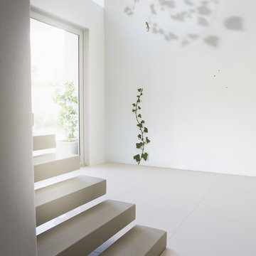 Gecko & Vine Wallpaper available at NewWall