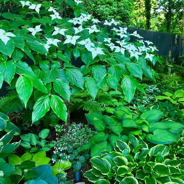 How Ambiance Garden Design was born - My Story