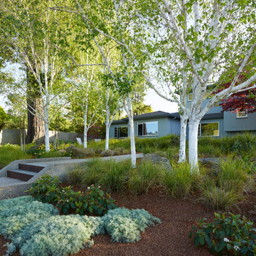 Oakland Hill Top HIdeaway Garden