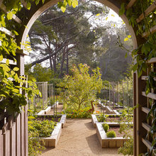 Orchards