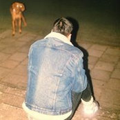 Aras Müllerさんの写真