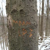 Matt Carroll's photo