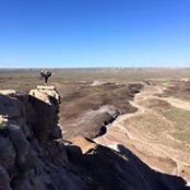 Stephanie Parsons's photo