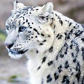 Edward Bastion's photo