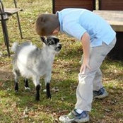 Melissa Schweitzer's photo