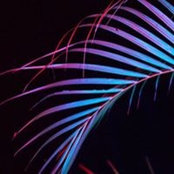 Bruno Cichini's photo
