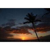 Ivan Lum's photo
