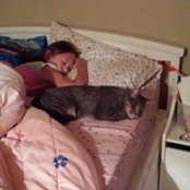 Darcie Marez's photo