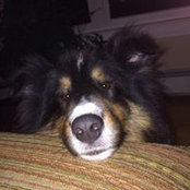 Thea Cerjanec's photo