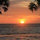 lorrie_colson