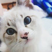 Eri Katou's photo