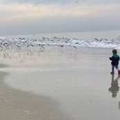 Foto di Angela Flynn