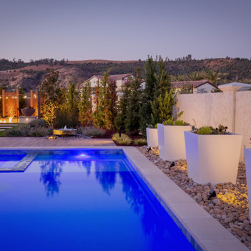 Borello Ranch Summertime Dream