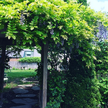 Shade Garden Flossmoor, Il