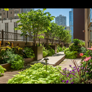 Dynamic Downtown Rooftop Resort