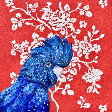 Red Tailed Black Cockatoo and Decorative Rose Pattern