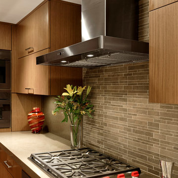 Washington, D.C. - Contemporary - Small Condo Kitchen